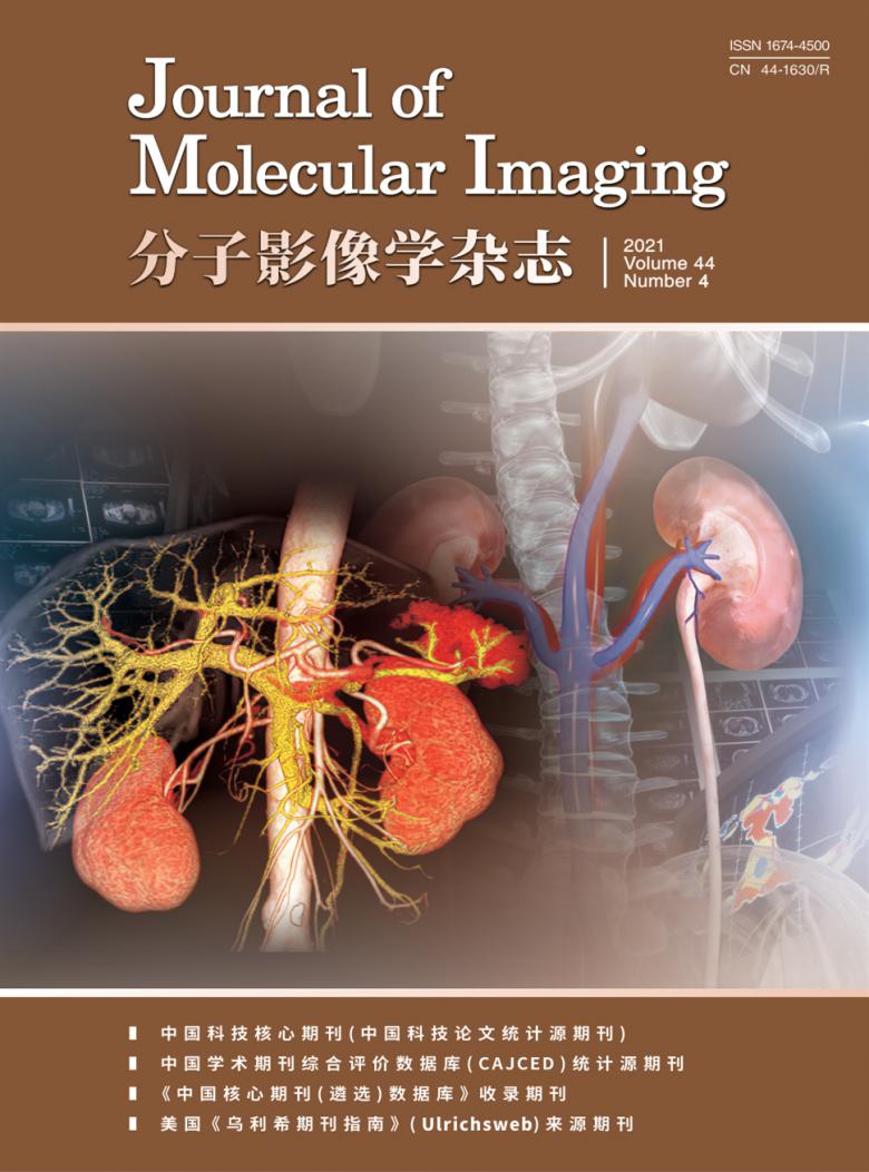 分子影像学杂志